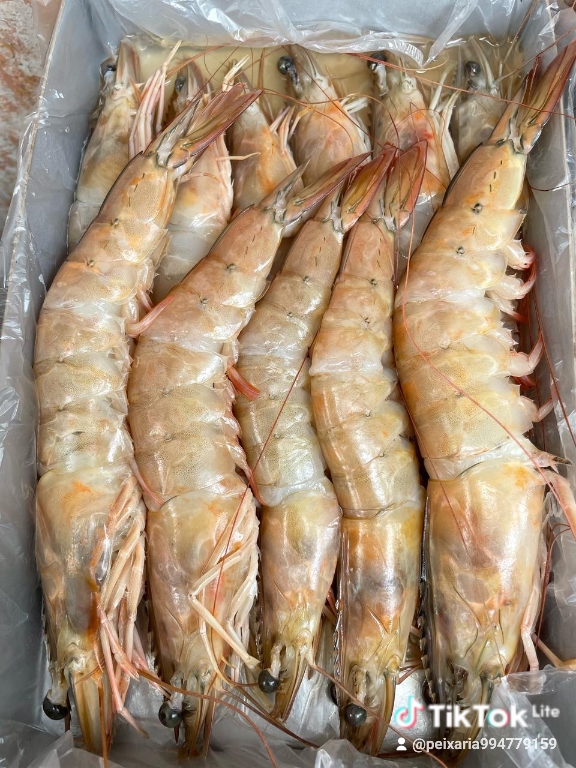 Variedade de peixes frescos - L&A Pescados Angola